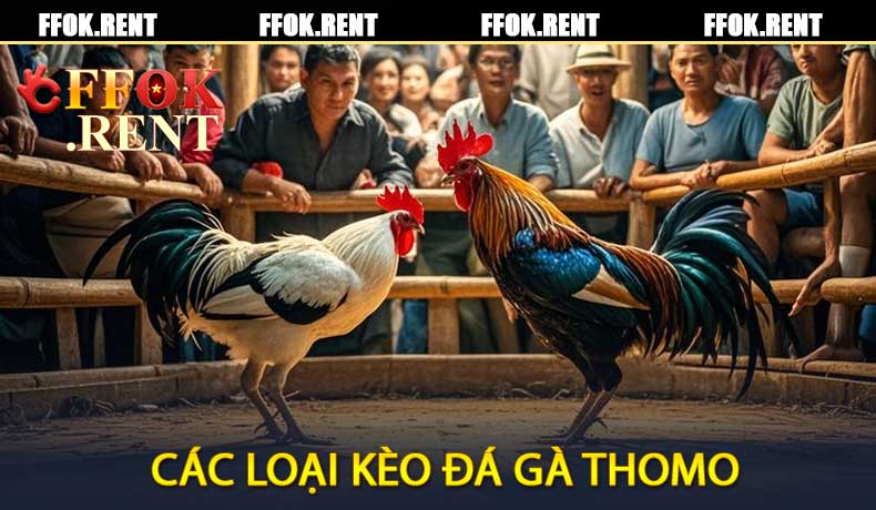 Các Loại Kèo Đá Gà Thomo